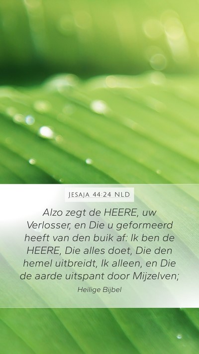 Jesaja 44:24 NLD Bible Verse Image