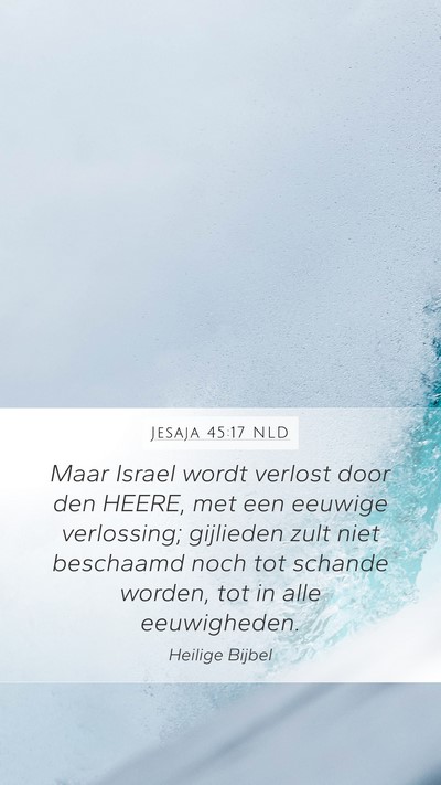 Jesaja 45:17 NLD Bible Verse Image