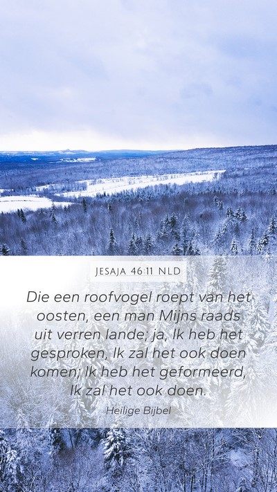 Jesaja 46:11 NLD Bible Verse Image