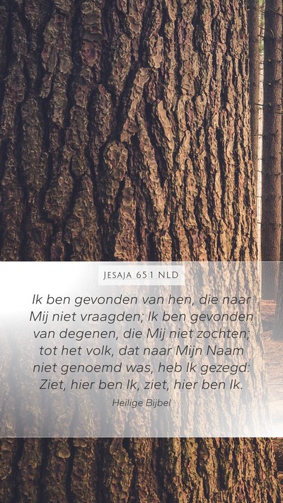 Jesaja 65:1 NLD Mobile Phone Wallpaper - Ik ben gevonden van hen, die naar Mij niet - Mobile Bible Verse Wallpaper