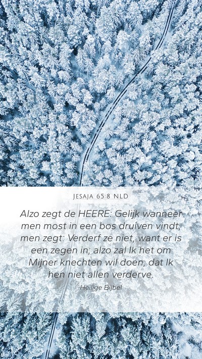Jesaja 65:8 NLD Bible Verse Image