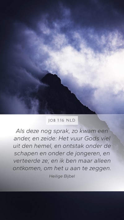 Job 1:16 NLD Bible Verse Image