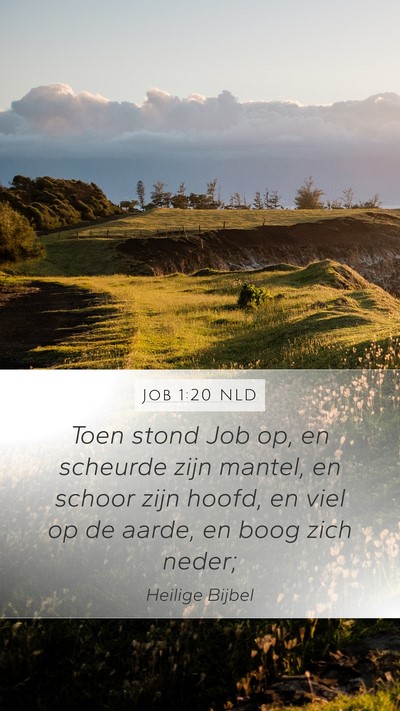 Job 1:20 NLD Bible Verse Image