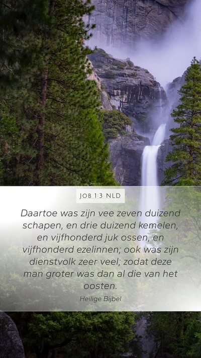 Job 1:3 NLD Bible Verse Image