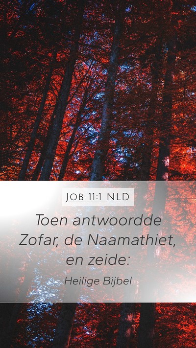 Job 11:1 NLD Mobile Phone Wallpaper - Toen antwoordde Zofar, de Naamathiet, en - Mobile Bible Verse Wallpaper