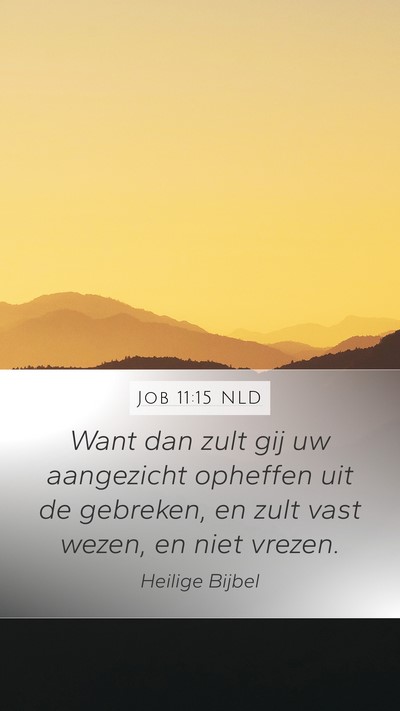 Job 11:15 NLD Bible Verse Image