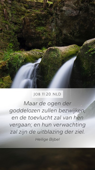 Job 11:20 NLD Bible Verse Image
