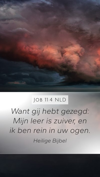 Job 11:4 NLD Bible Verse Image