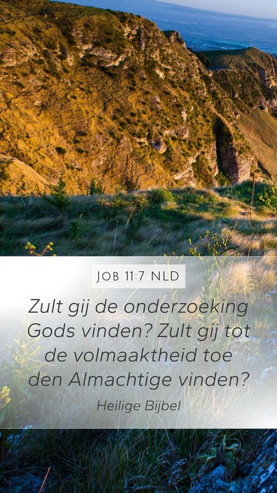 Job 11:7 NLD Bible Verse Image