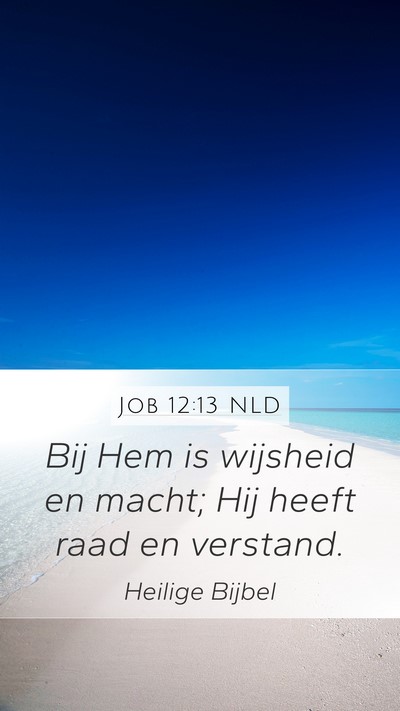 Job 12:13 NLD Bible Verse Image