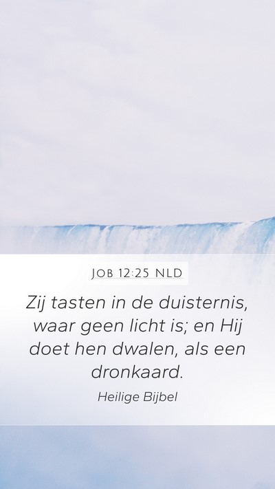 Job 12:25 NLD Bible Verse Image