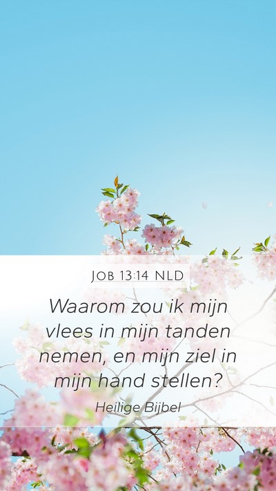 Job 13:14 NLD Bible Verse Image