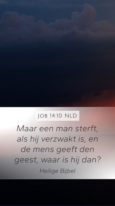 Job 14:10 NLD Bible Verse Image