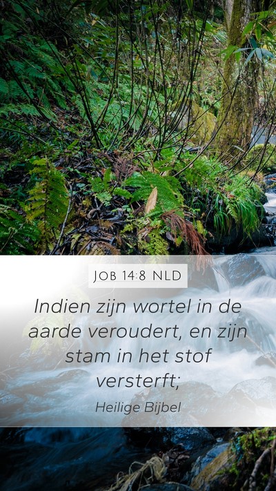 Job 14:8 NLD Mobile Phone Wallpaper - Indien zijn wortel in de aarde veroudert, en zijn - Mobile Bible Verse Wallpaper