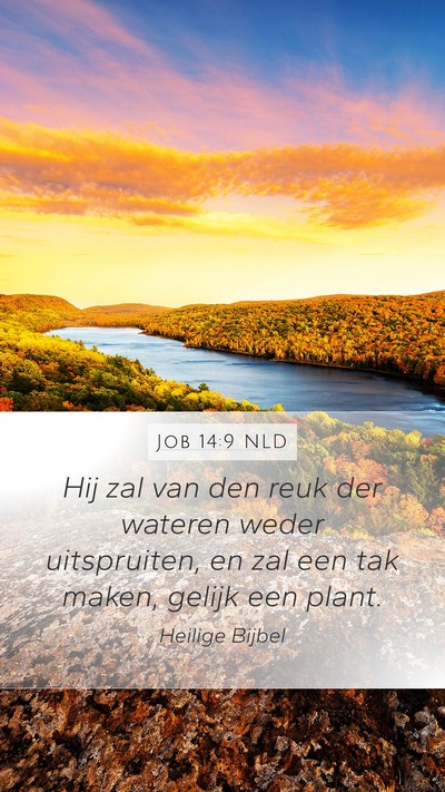 Job 14:9 NLD Mobile Phone Wallpaper - Hij zal van den reuk der wateren weder - Mobile Bible Verse Wallpaper