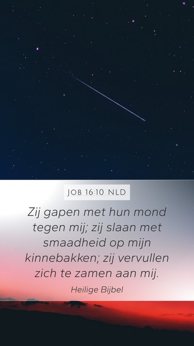 Job 16:10 NLD Bible Verse Image