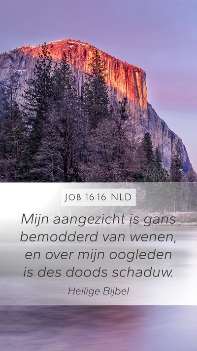 Job 16:16 NLD Bible Verse Image