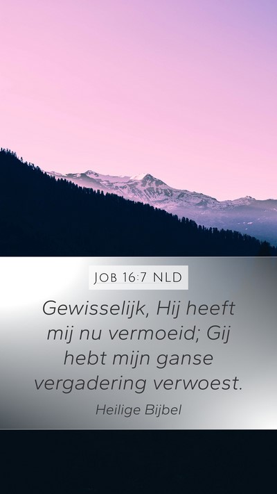Job 16:7 NLD Bible Verse Image