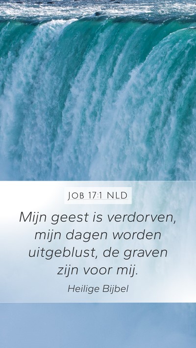 Job 17:1 NLD Bible Verse Image
