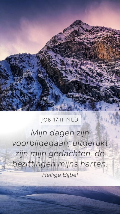 Job 17:11 NLD Bible Verse Image