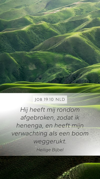 Job 19:10 NLD Bible Verse Image