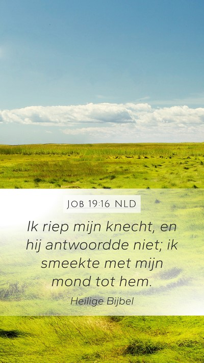 Job 19:16 NLD Bible Verse Image