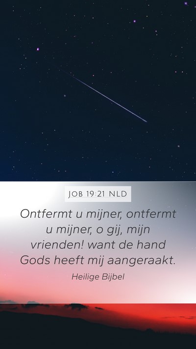 Job 19:21 NLD Bible Verse Image