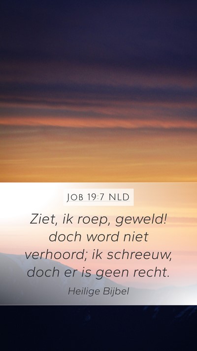 Job 19:7 NLD Bible Verse Image