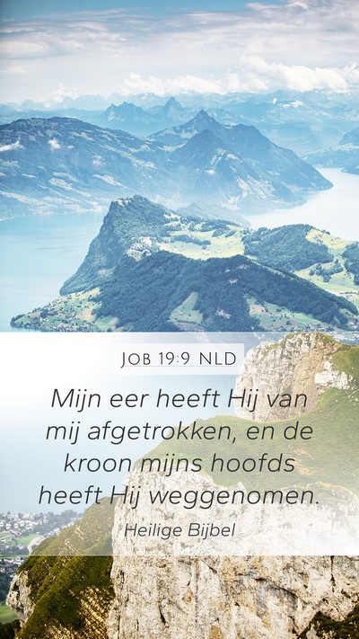 Job 19:9 NLD Bible Verse Image