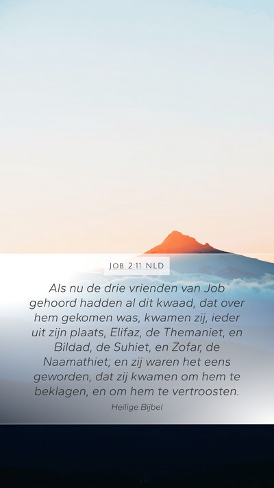 Job 2:11 NLD Bible Verse Image