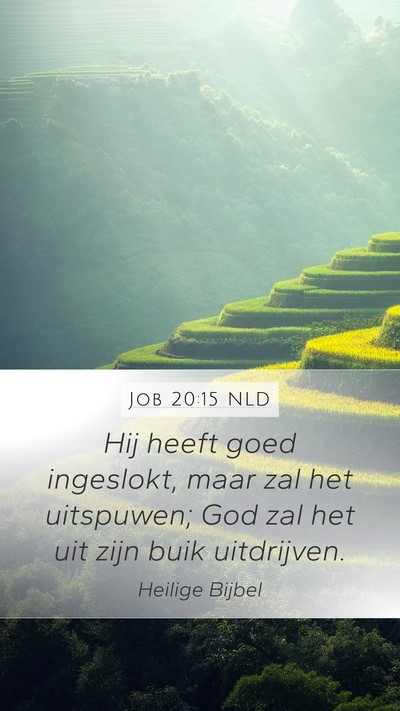 Job 20:15 NLD Bible Verse Image