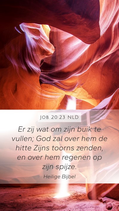 Job 20:23 NLD Bible Verse Image