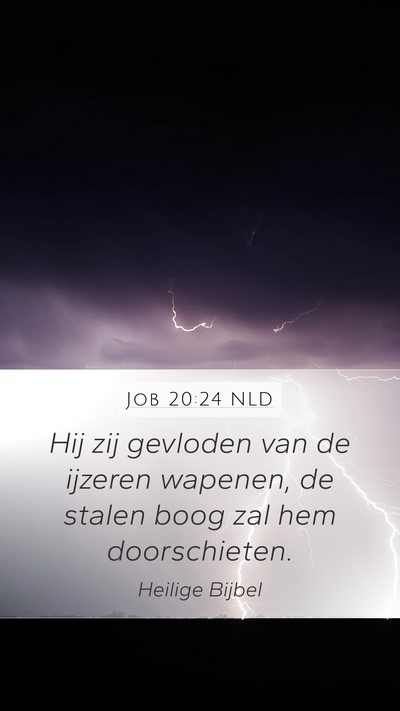 Job 20:24 NLD Bible Verse Image