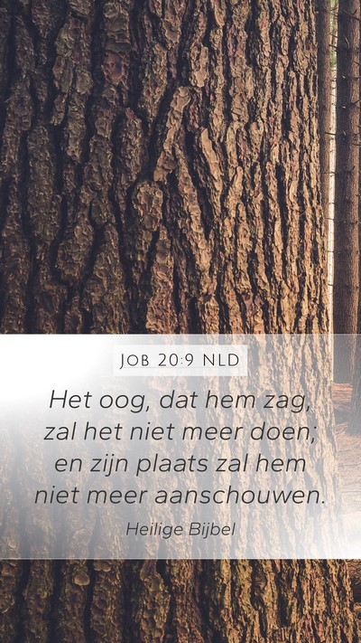 Job 20:9 NLD Bible Verse Image