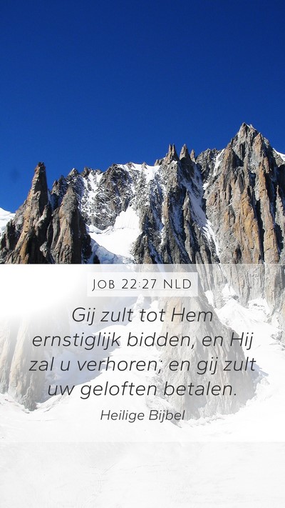 Job 22:27 NLD Bible Verse Image