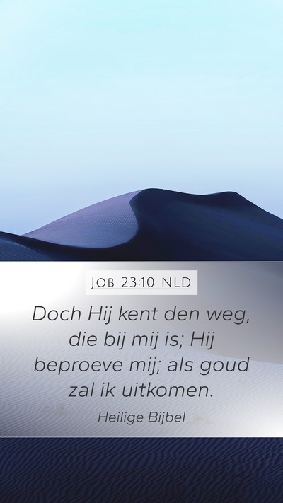 Job 23:10 NLD Bible Verse Image