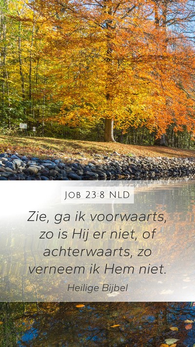 Job 23:8 NLD Bible Verse Image