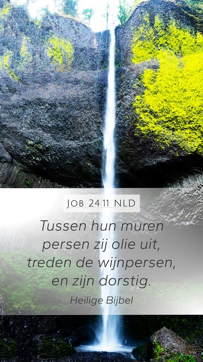 Job 24:11 NLD Bible Verse Image