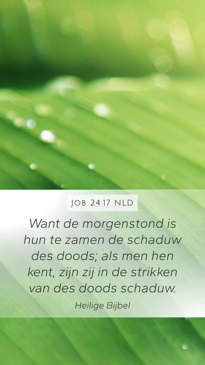 Job 24:17 NLD Bible Verse Image