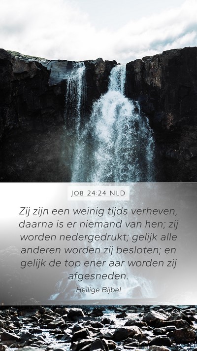 Job 24:24 NLD Mobile Phone Wallpaper - Zij zijn een weinig tijds verheven, daarna is er - Mobile Bible Verse Wallpaper