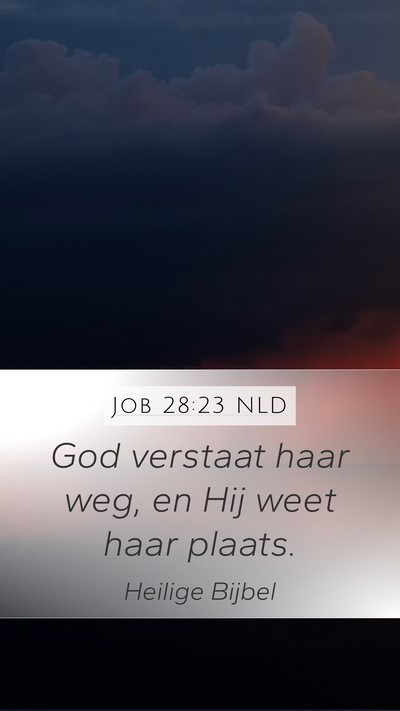 Job 28:23 NLD Bible Verse Image