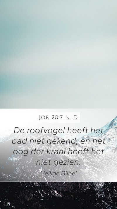 Job 28:7 NLD Bible Verse Image