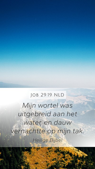Job 29:19 NLD Bible Verse Image