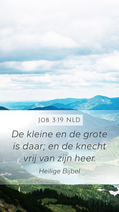Job 3:19 NLD Bible Verse Image