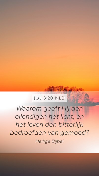 Job 3:20 NLD Bible Verse Image