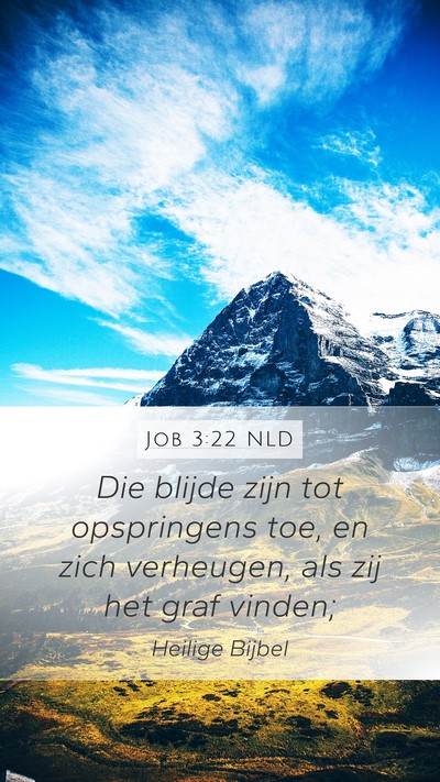 Job 3:22 NLD Bible Verse Image