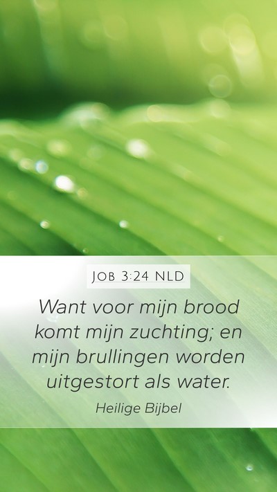 Job 3:24 NLD Bible Verse Image
