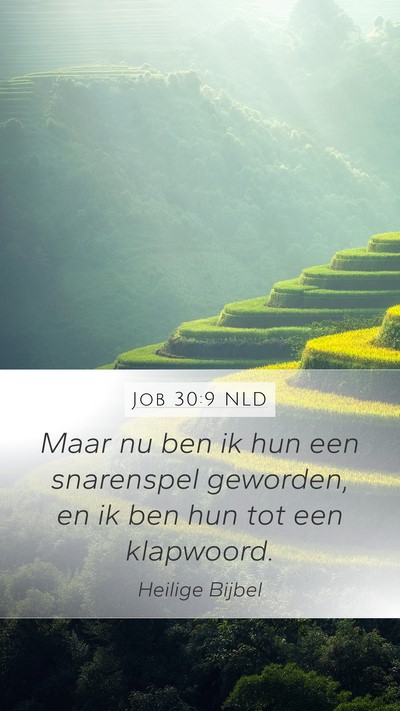 Job 30:9 NLD Bible Verse Image