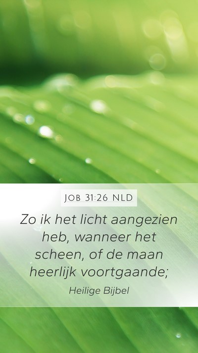 Job 31:26 NLD Bible Verse Image