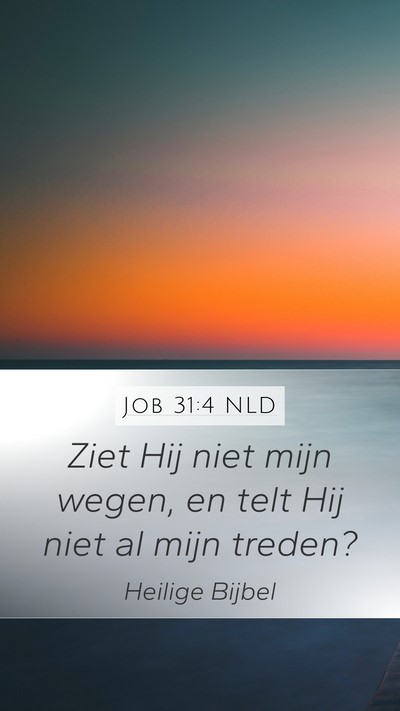 Job 31:4 NLD Bible Verse Image